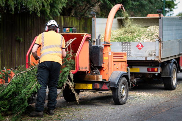 Best Pest Control for Lawns  in Sconsin Rapids, WI
