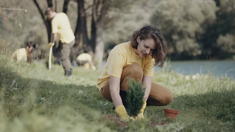 Best Tree Maintenance Programs  in Sconsin Rapids, WI