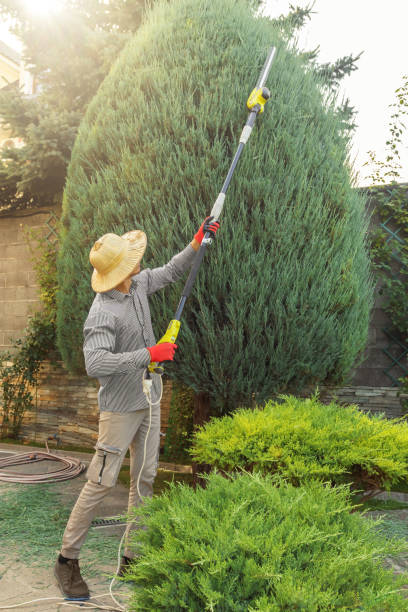 Best Hazardous Tree Removal  in Sconsin Rapids, WI